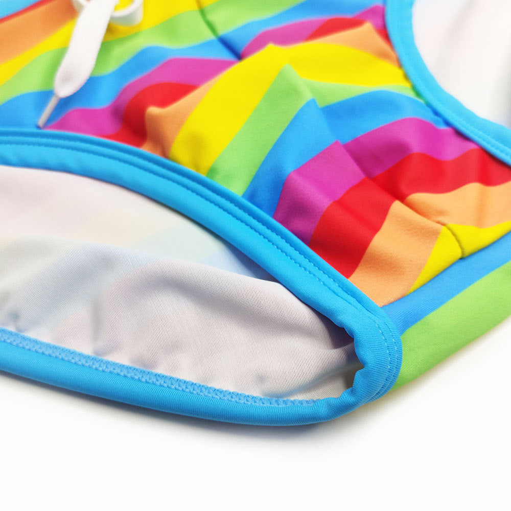 Retro Rainbow Swim Briefs