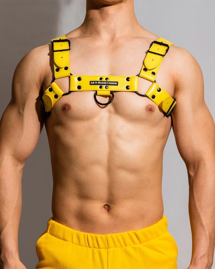 Rough Rider Passion Harness - The RainbowBoys