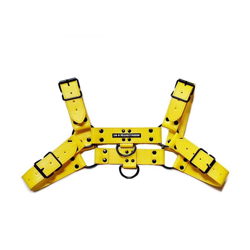 Rough Rider Passion Harness - The RainbowBoys