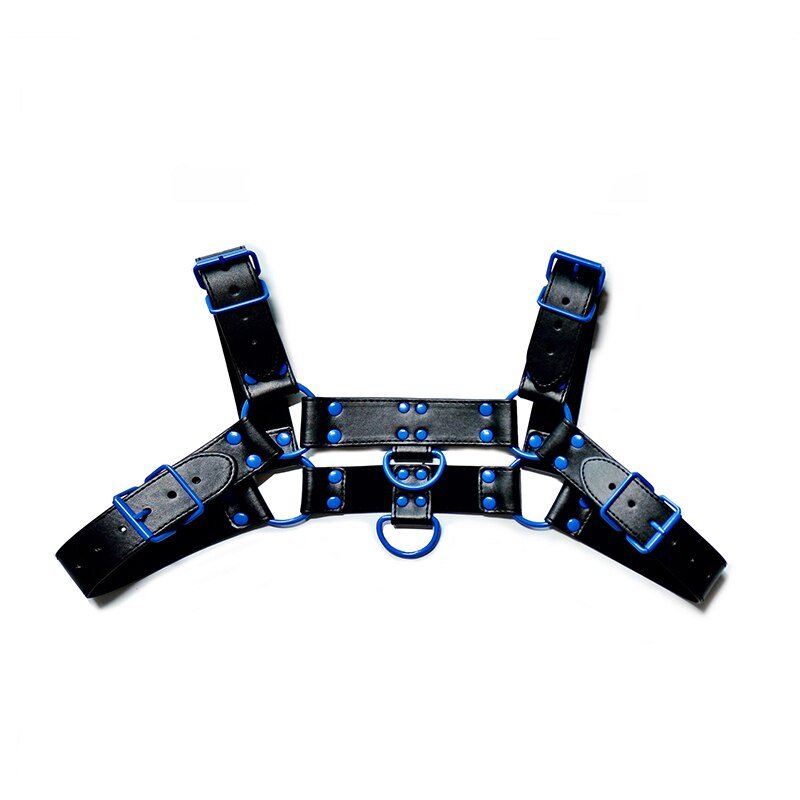 Rough Rider Passion Harness - The RainbowBoys