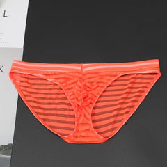 Striped Transparent Briefs - The RainbowBoys