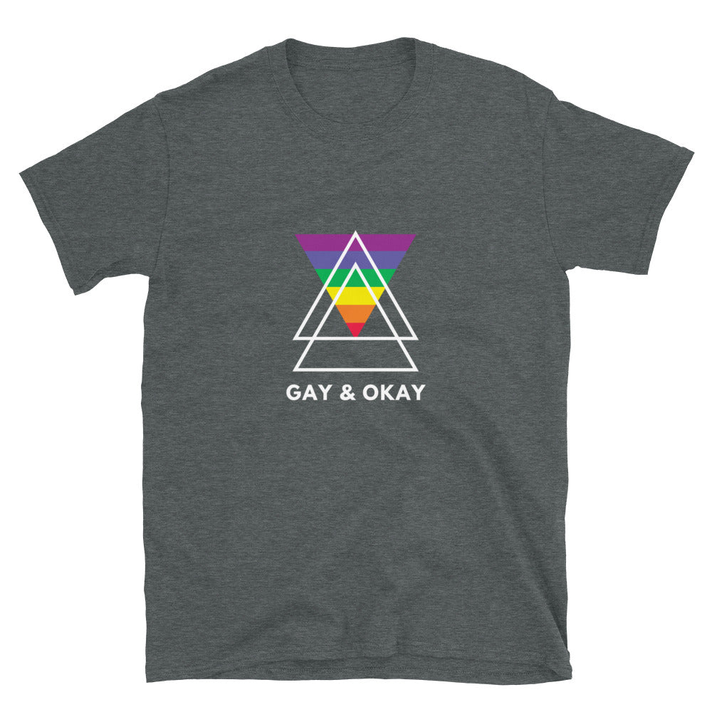 Gay & OK T-Shirt