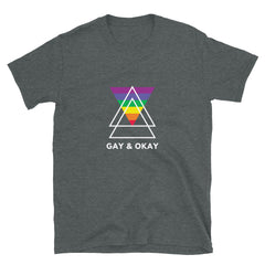 Gay & OK T-Shirt
