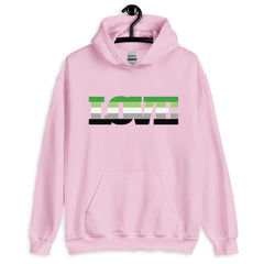 Aromantic Love Unisex Hoodie