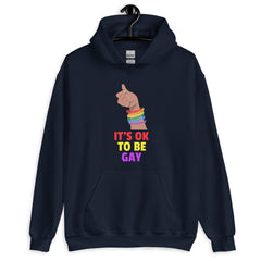 It's Ok To Be Gay Unisex Hoodie