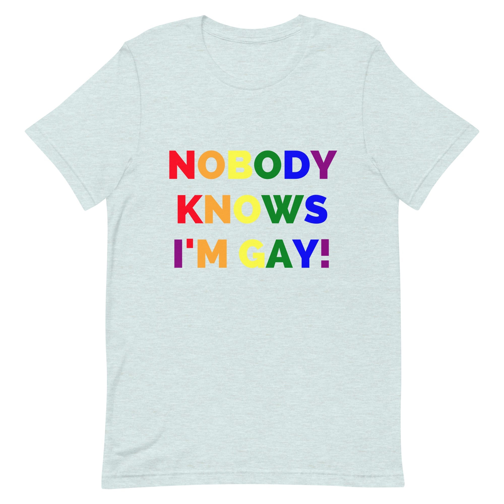 Nobody Knows I'm Gay! T-Shirt
