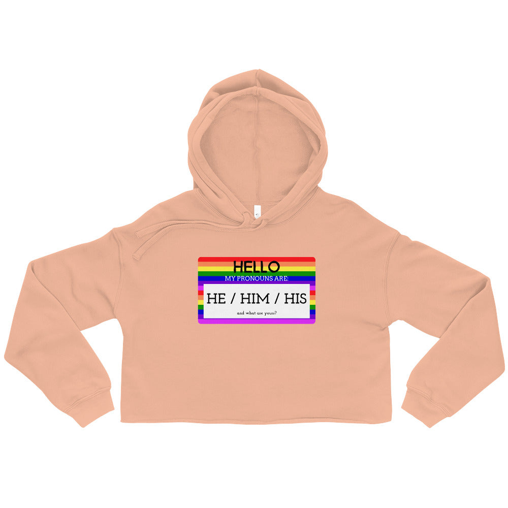 Hello My Pronouns Are He / Him / His Crop Hoodie