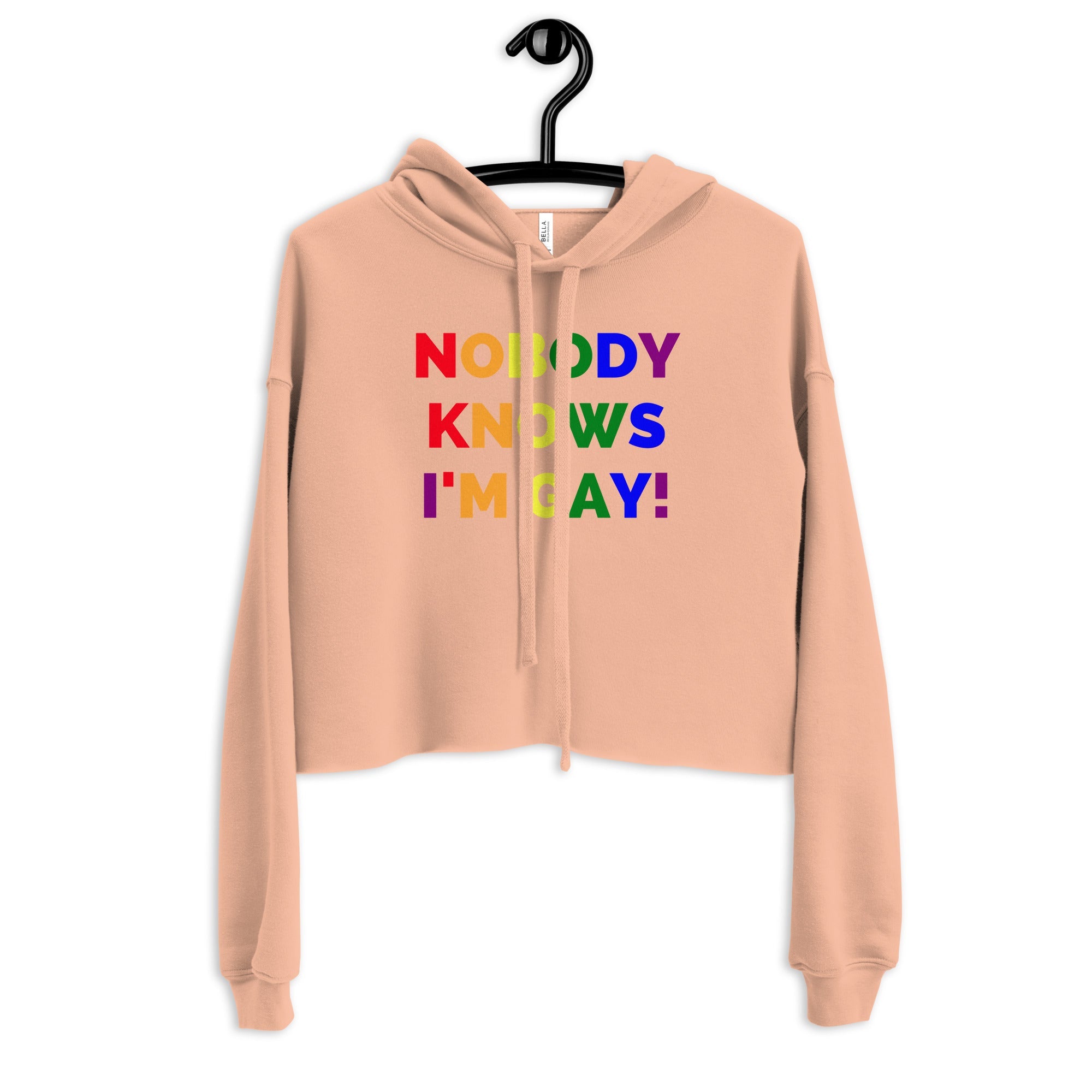 Nobody Knows I'm Gay! Crop Hoodie