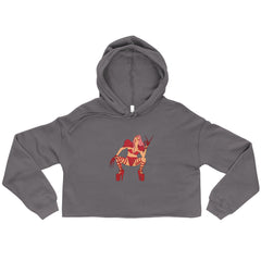 Lady Gaga Chromatica Crop Hoodie