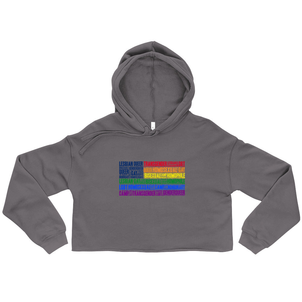 Gay USA Crop Hoodie